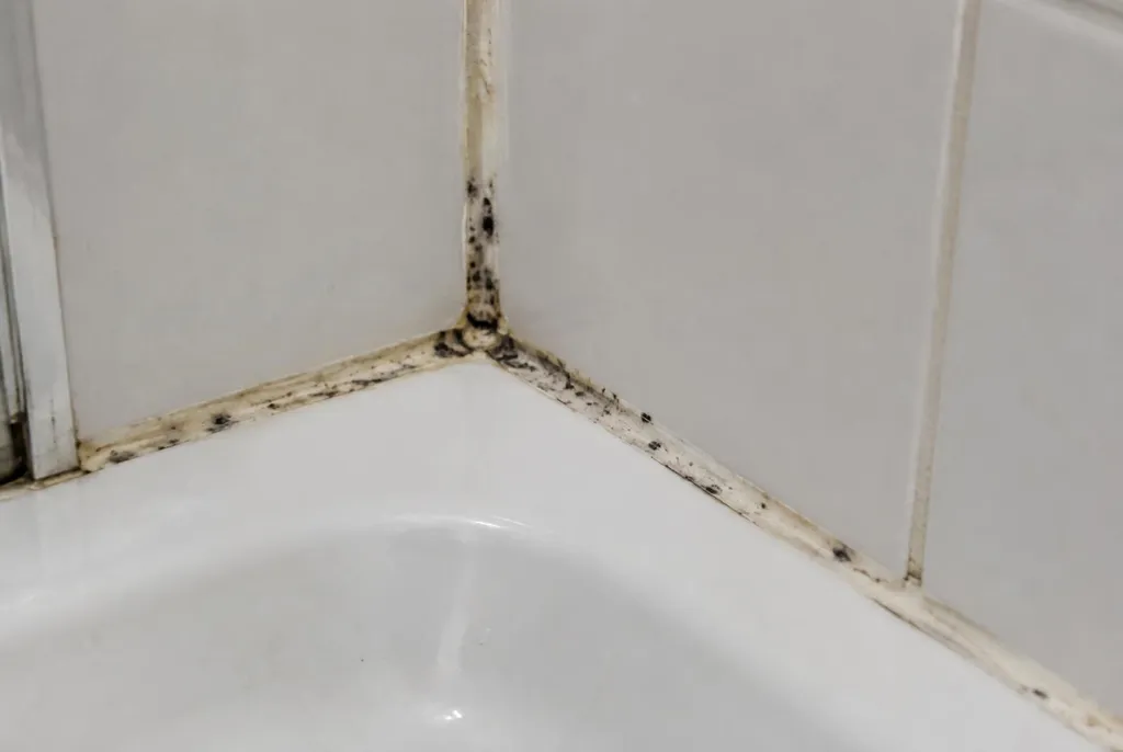 Kitbedrijf Pijnacker – beschimmelde kitranden